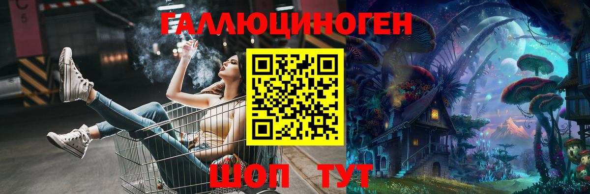 Егорьевск  Псилоцибиновые грибы Psilocybine cubensis  Вход с VPN 